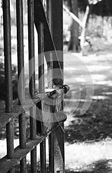 Old prision fence in Martin Garcia Argentine