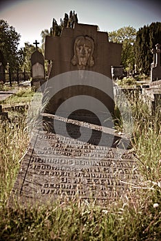 Old prolapsed grave in the sun