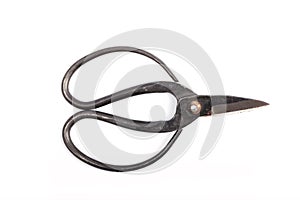 An old pruning scissors for bonsai isolated