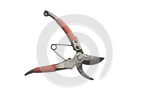 Old pruning shears  isolated on white background