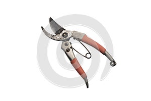 Old pruning shears  isolated on white background