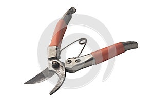 Old pruning shears  isolated on white background