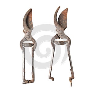 Old pruning shears