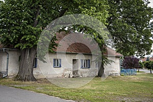 An old pub among the oak groves in a small village