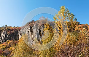 Old quarry. Rocks and yellow trees