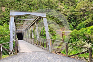 Old rail bridge and tunnel. Karangahake Gorge, New Zealand
