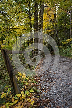 Old Railing Next to Trail