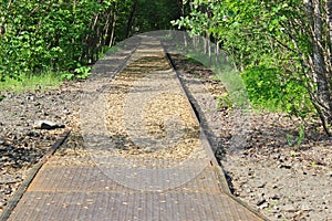 Abandoned railroad through forest
