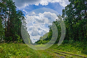 Old railroad tracks