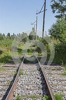 Old Railroad Tracks in nature.