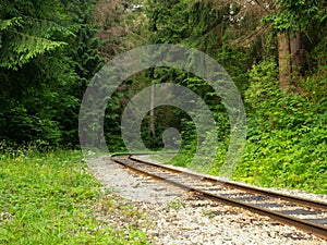 Old rails in the nature.