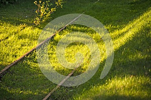 Old rails overgrown with grass in light and shadow