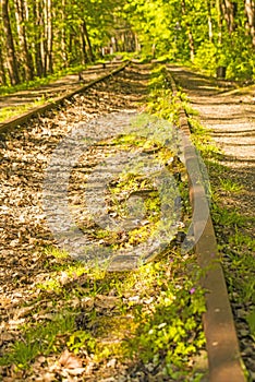 Old rails overgrown with green grass