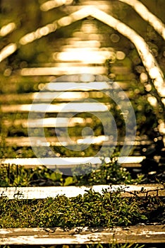 Old rails in soft autumnal morning sun