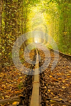 Old Rails in the Ukrainian Tunnel of Love