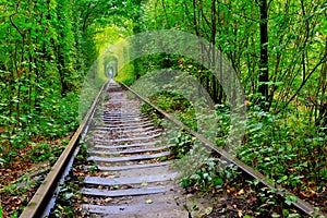 Old railway in autumn forest