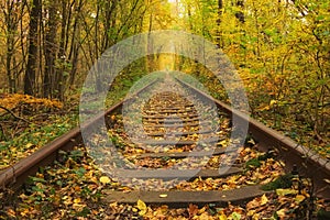 Old railway through the autumn forest. Famous Tunnel of love formed by trees. Klevan, Rivnenska obl. Ukraine