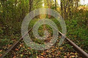 Old railway through the autumn forest. Famous Tunnel of love formed by trees. Klevan, Rivnenska obl. Ukraine