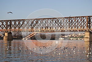 Old railway bridge in Belgrade