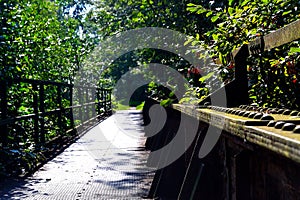 Old railway bridge over the river Odra, 4.9. 2021, StudÃÂ©nka, Czech Republic