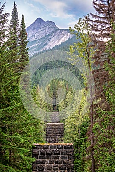 Old railway bridge piles on Loop Brook trail, Glacier National park, Rocky Mountains, Bristish Columbia Canada