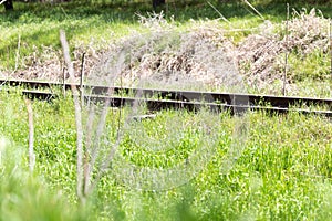 Old railway grassed