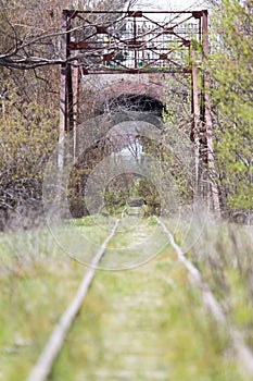 Old railway grassed