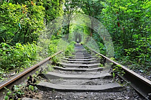 Old railway in green forest