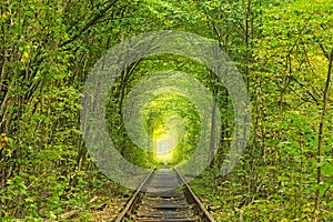 Old railway line. Nature with the help of trees has created a unique tunnel. Tunnel of love - wonderful place created by nature