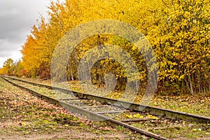 Old railway line passing through the autumn forest