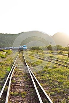 Old railway track in forest