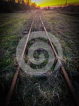 Old railway track in the forest, in sunset