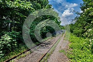 Old railway tracks overgrown with plants. Railway traction in Central Europe not used