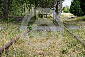 Old railway tracks overgrown with trees. Forgotten railway line.