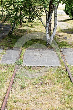 Old railway tracks overgrown with trees. Forgotten railway line.