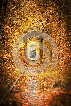 train in autumn nature photo