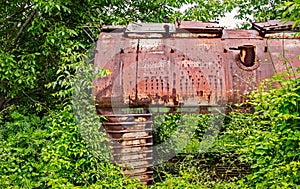 Old railway wagon captured by vegetation.