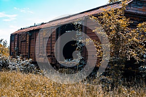 Old railway wagon derelict captured by vegetation