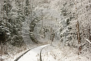 Old railway in winter forest