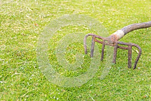 Old rake on the grass