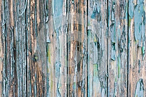 Old real Wood Texture Background