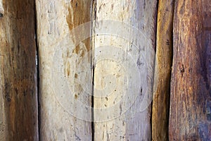 Old real wood wall Texture background closeup