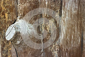 Old real wood wall Texture background closeup