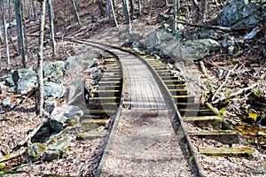 Old Reconstructed Logging Railroad, Blue Ridge Parkway â€“ MP 34.4