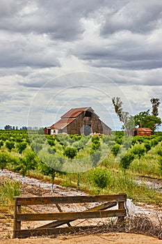 Old red barn and fencing around fruit farm in spring