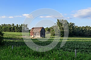 Old red barn on green farmers field