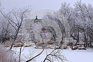 Old red barn with hoar frosted trees in the fore-front