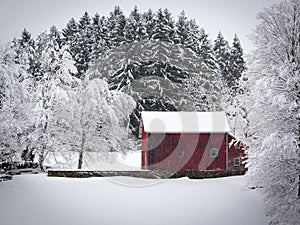 Old Red Barn on Snowy Hill