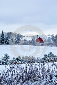Old red barn in a  Wisconsin, snow covered forest
