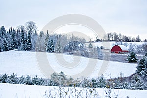 Old red barn in a  Wisconsin, snow covered forest